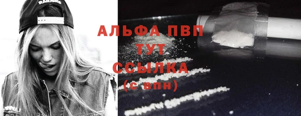 стафф Беломорск
