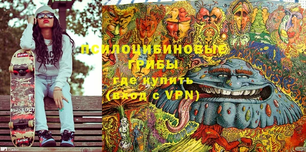 mix Белокуриха